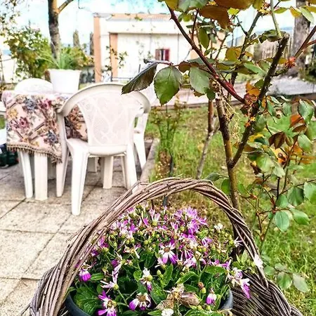 Il Giardino Delle Rose *