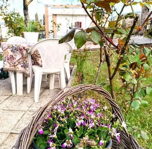 Il Giardino Delle Rose *